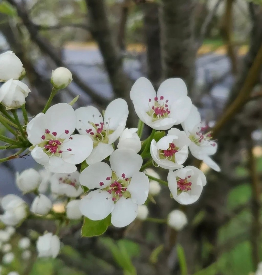 Till my change&nbsp;come