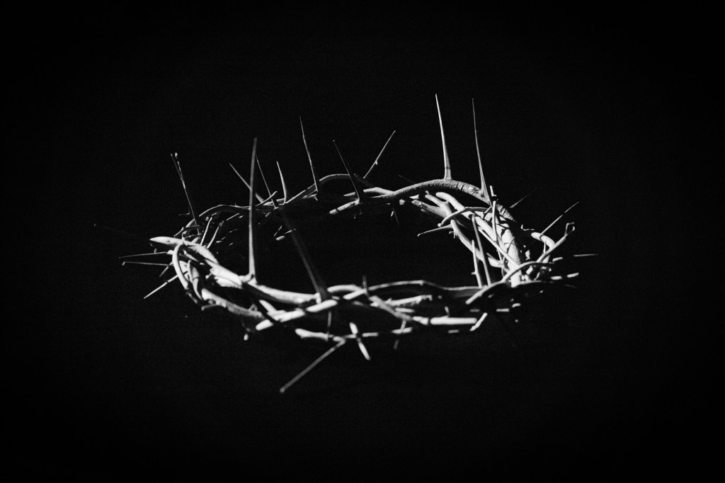 A crown of&nbsp;thorns