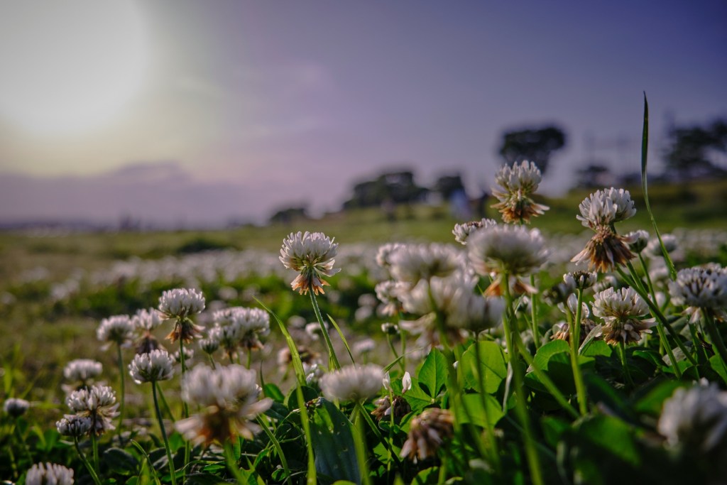 A conscience void of&nbsp;offence