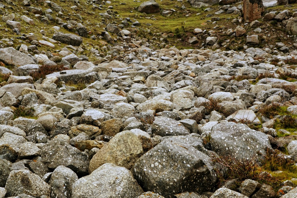 Lord, lay not this sin to their&nbsp;charge