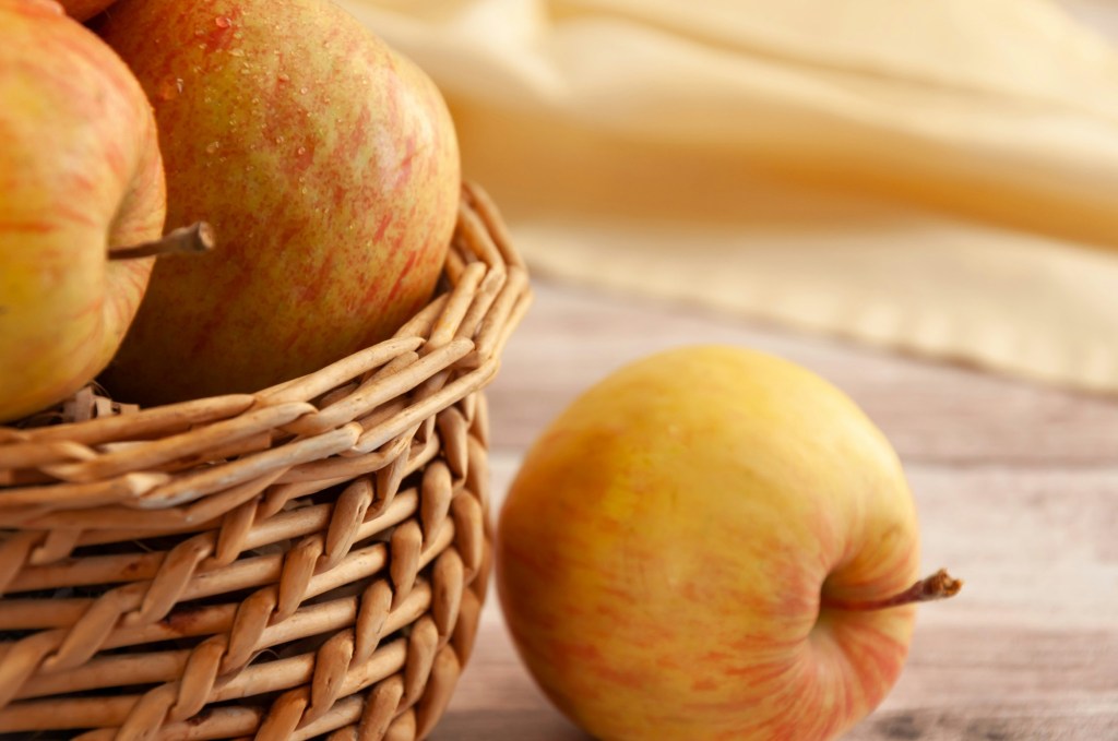 He which soweth&nbsp;bountifully