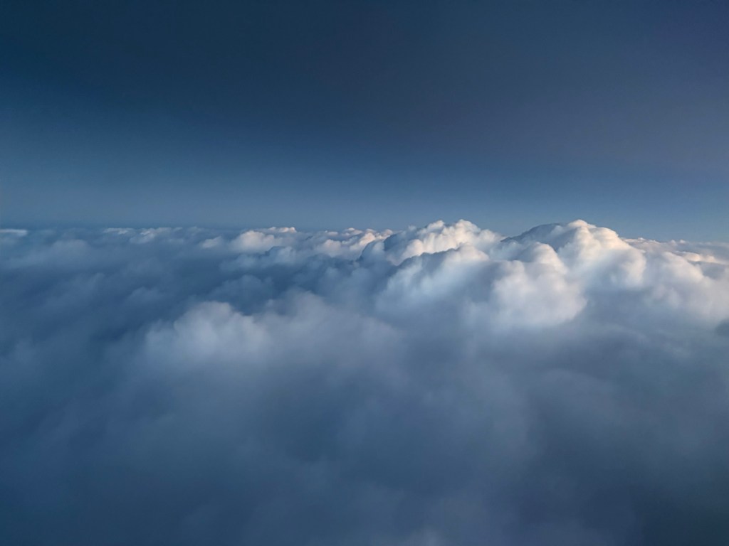 They know not the thoughts of the LORD