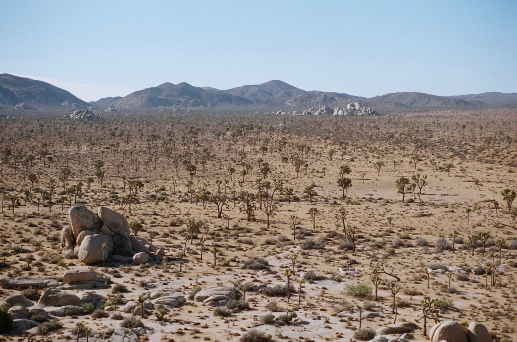 The word of God came…in the&nbsp;wilderness